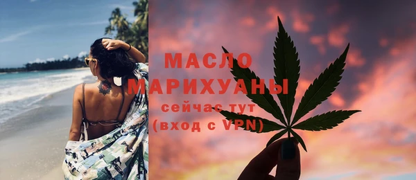 твердый Верхний Тагил