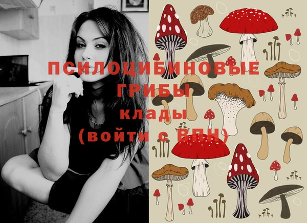 твердый Верхний Тагил