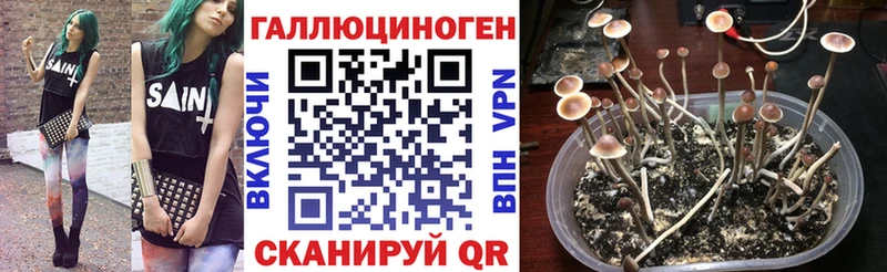 blacksprut   где можно купить наркотик  Уссурийск  Галлюциногенные грибы ЛСД 